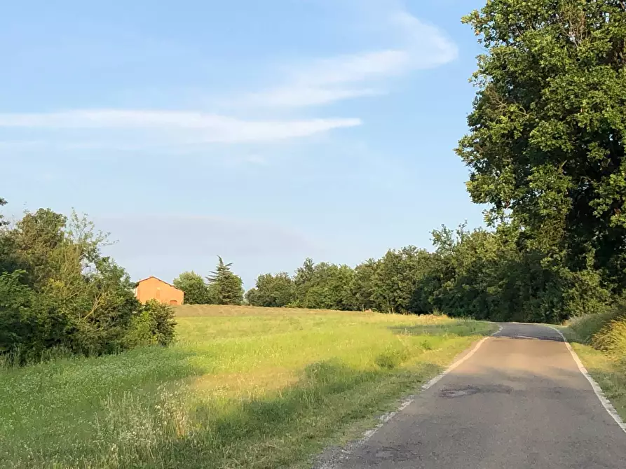 Immagine 15 di Rustico / casale in vendita  a Casalnoceto