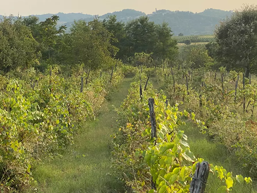 Immagine 17 di Rustico / casale in vendita  a Casalnoceto