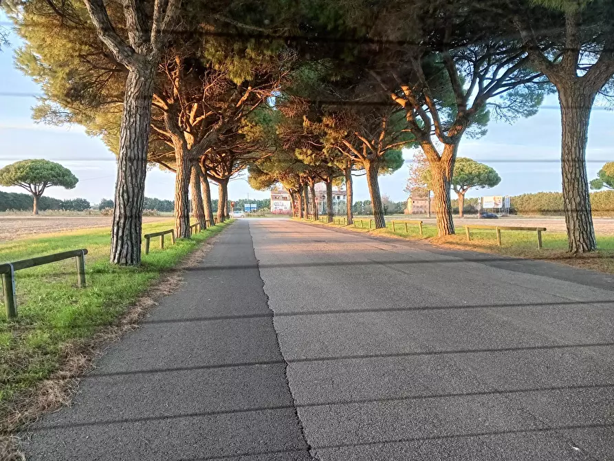 Immagine 8 di Villetta a schiera in vendita  in via cigno bianco a Jesolo