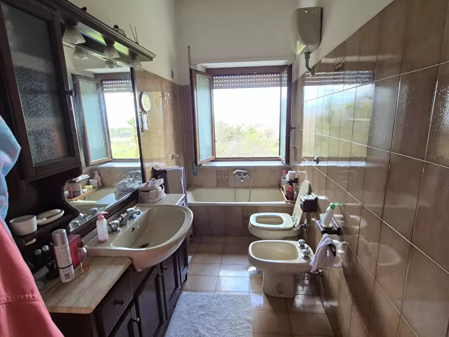 Immagine 9 di Villa in vendita  in Via Banco di Santo Spirito 14 a Grottaferrata