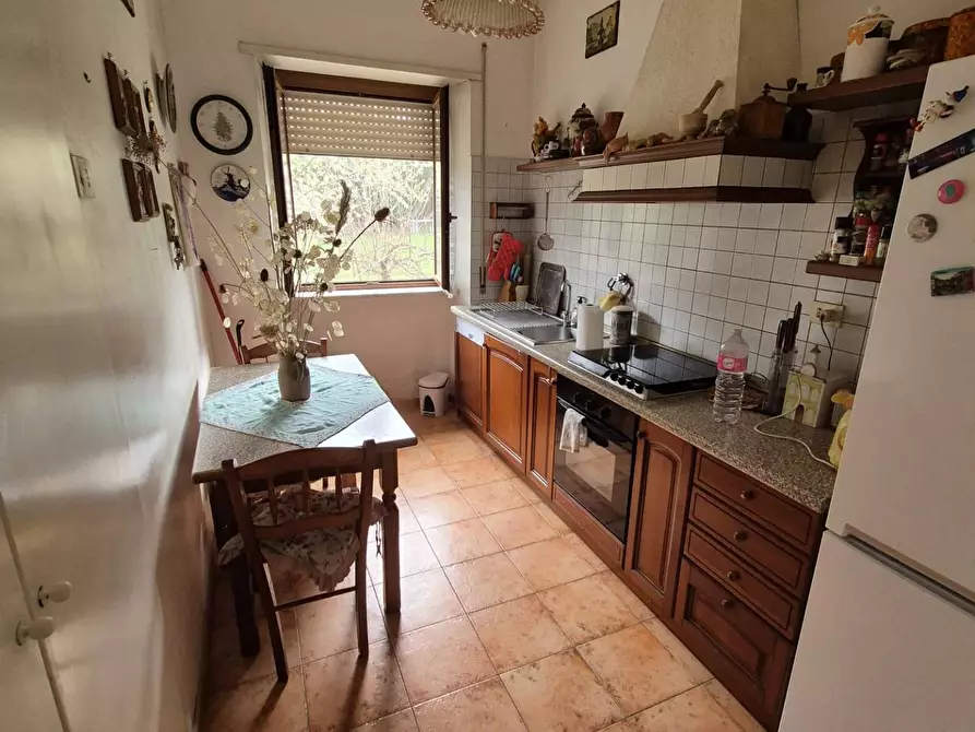 Immagine 11 di Villa in vendita  in Via Banco di Santo Spirito 14 a Grottaferrata