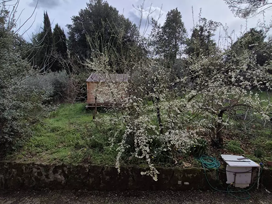 Immagine 18 di Villa in vendita  in Via Banco di Santo Spirito 14 a Grottaferrata