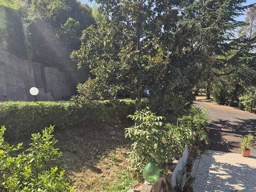 Immagine 13 di Villa in vendita  in Località Pinoleto snc a Montopoli Di Sabina