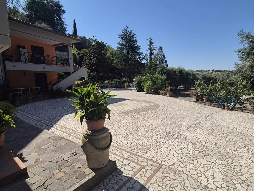 Immagine 15 di Villa in vendita  in Località Pinoleto snc a Montopoli Di Sabina