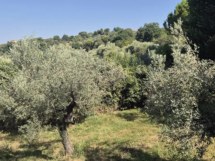 Immagine 19 di Villa in vendita  in Località Pinoleto snc a Montopoli Di Sabina