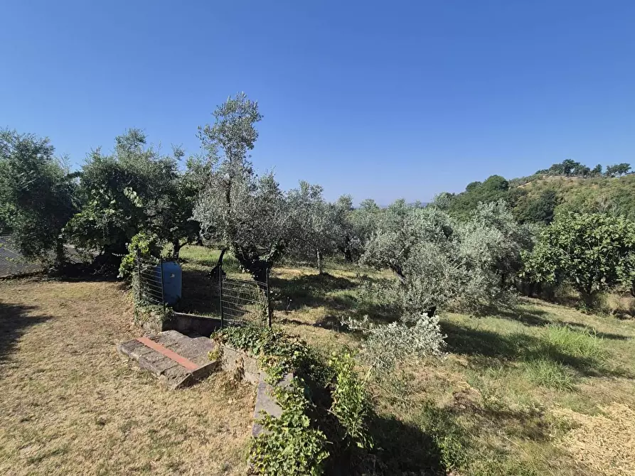 Immagine 22 di Villa in vendita  in Località Pinoleto snc a Montopoli Di Sabina