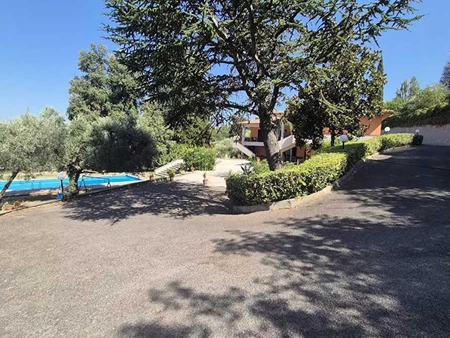 Immagine 55 di Villa in vendita  in Località Pinoleto snc a Montopoli Di Sabina