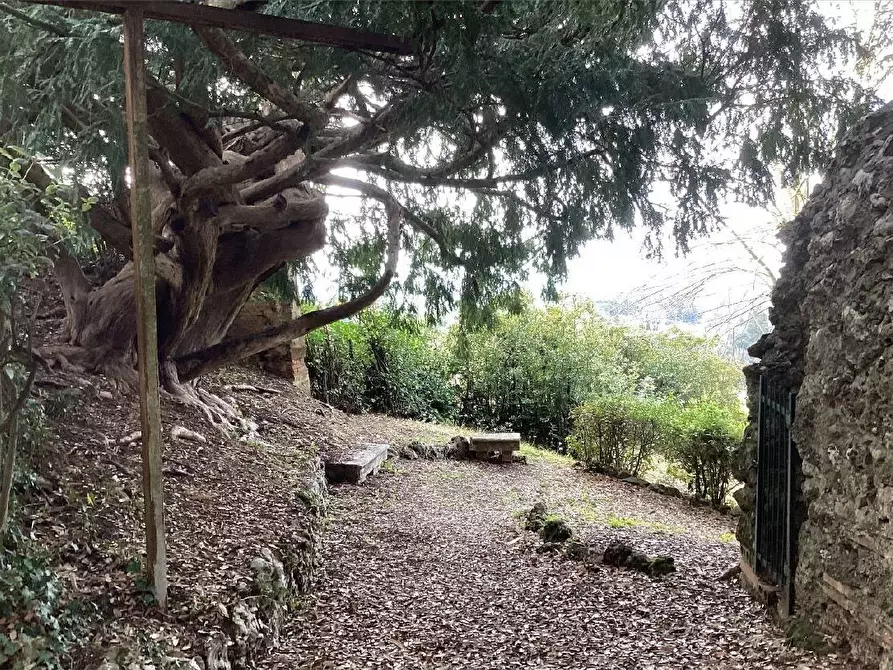 Immagine 21 di Locale commerciale in vendita  in Strada del Monastero a Siena