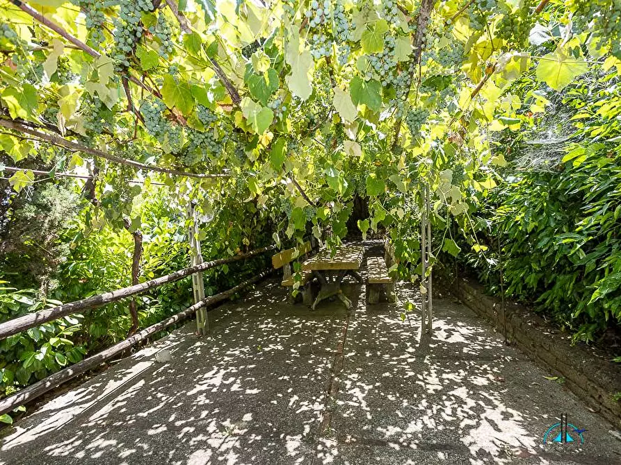 Immagine 54 di Villa in vendita  in Via dei cappuccini a Collevecchio