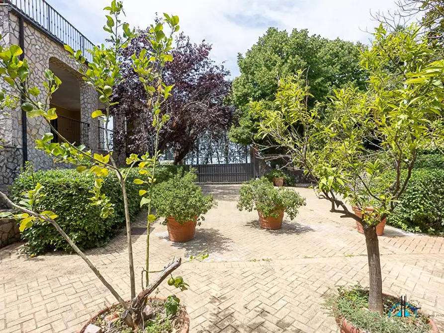 Immagine 78 di Villa in vendita  in Via dei cappuccini a Collevecchio