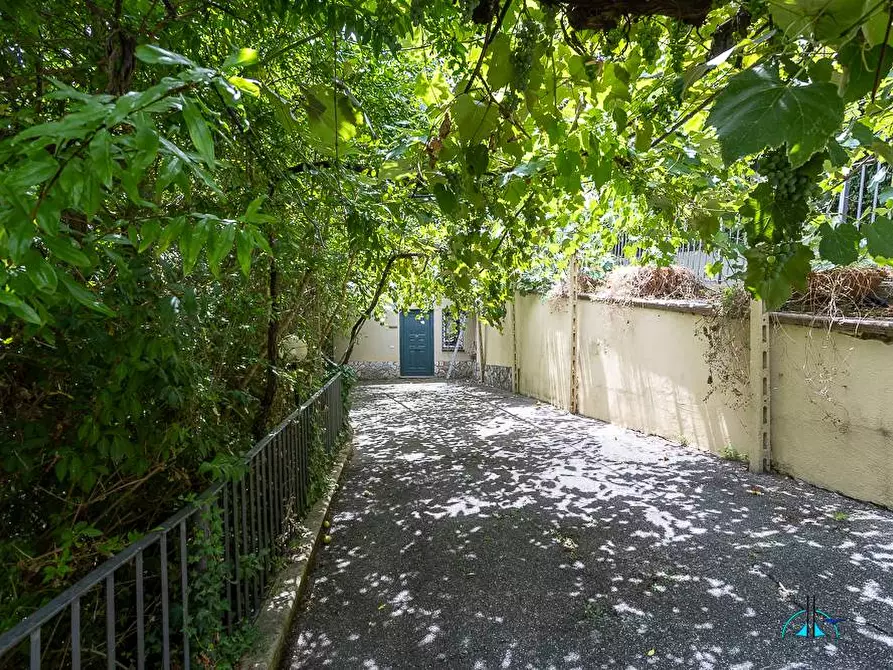 Immagine 89 di Villa in vendita  in Via dei cappuccini a Collevecchio