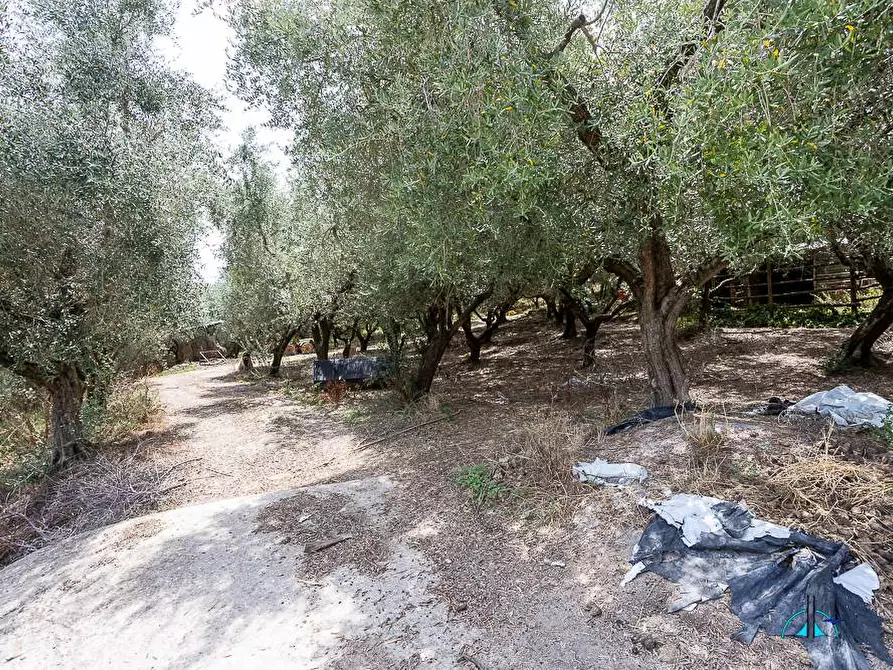 Immagine 100 di Villa in vendita  in Via dei cappuccini a Collevecchio