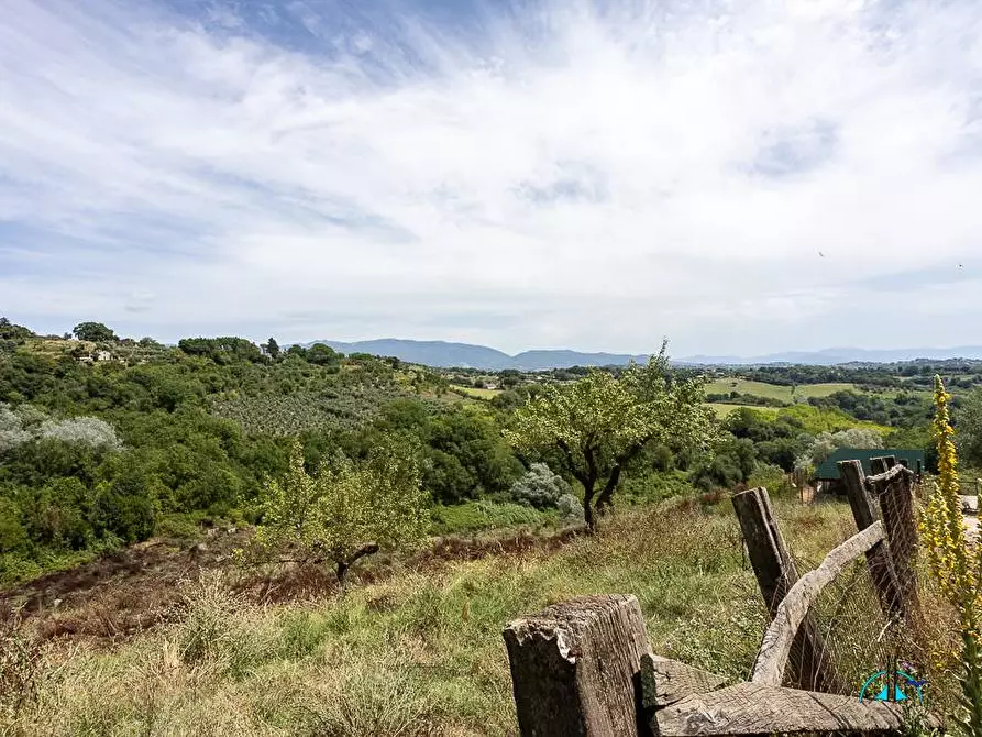 Immagine 101 di Villa in vendita  in Via dei cappuccini a Collevecchio