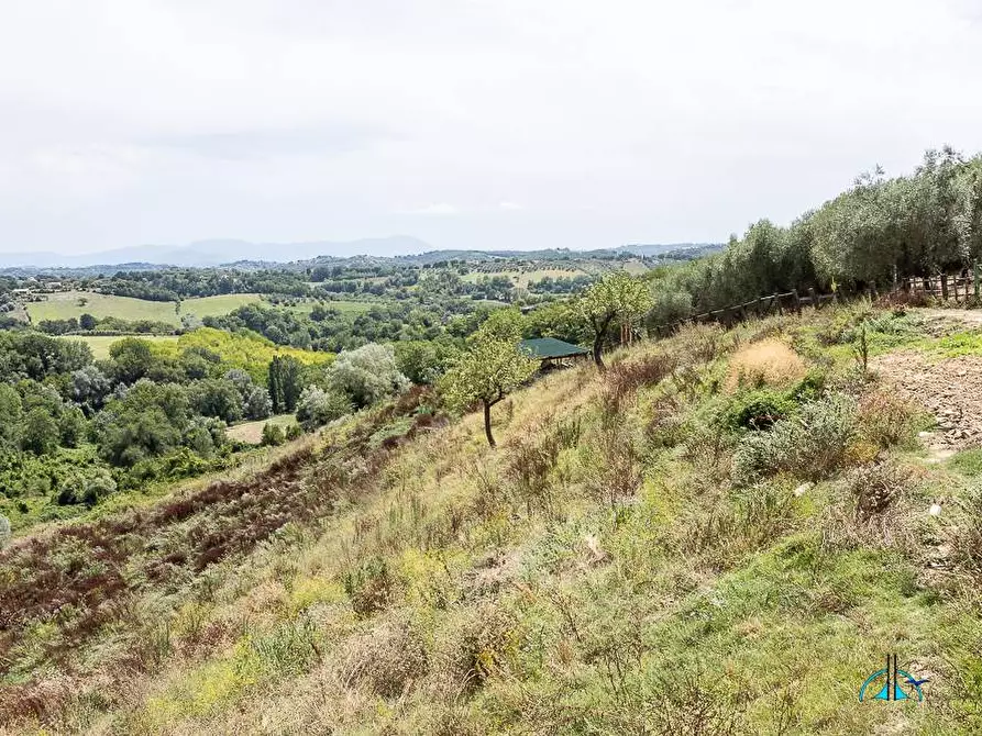 Immagine 105 di Villa in vendita  in Via dei cappuccini a Collevecchio