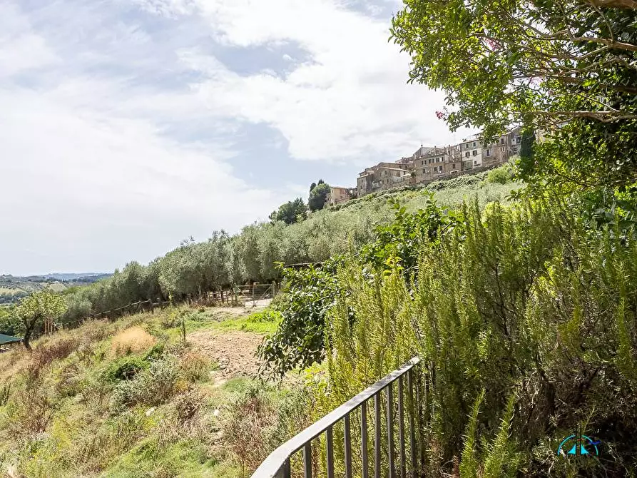 Immagine 106 di Villa in vendita  in Via dei cappuccini a Collevecchio