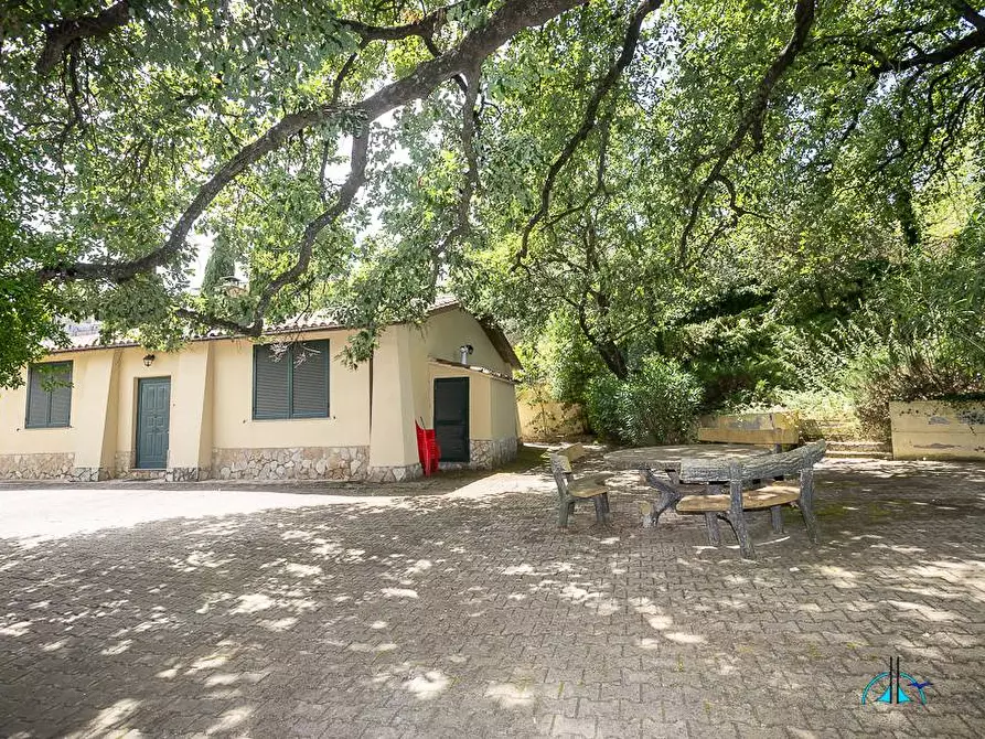 Immagine 108 di Villa in vendita  in Via dei cappuccini a Collevecchio