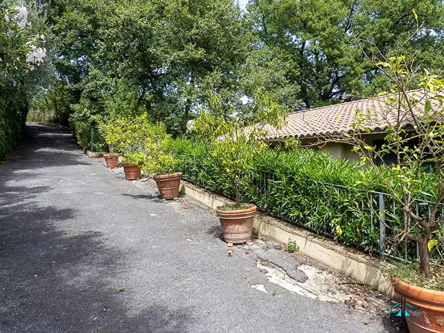 Immagine 127 di Villa in vendita  in Via dei cappuccini a Collevecchio