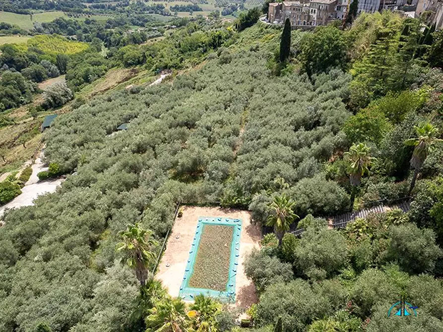 Immagine 130 di Villa in vendita  in Via dei cappuccini a Collevecchio