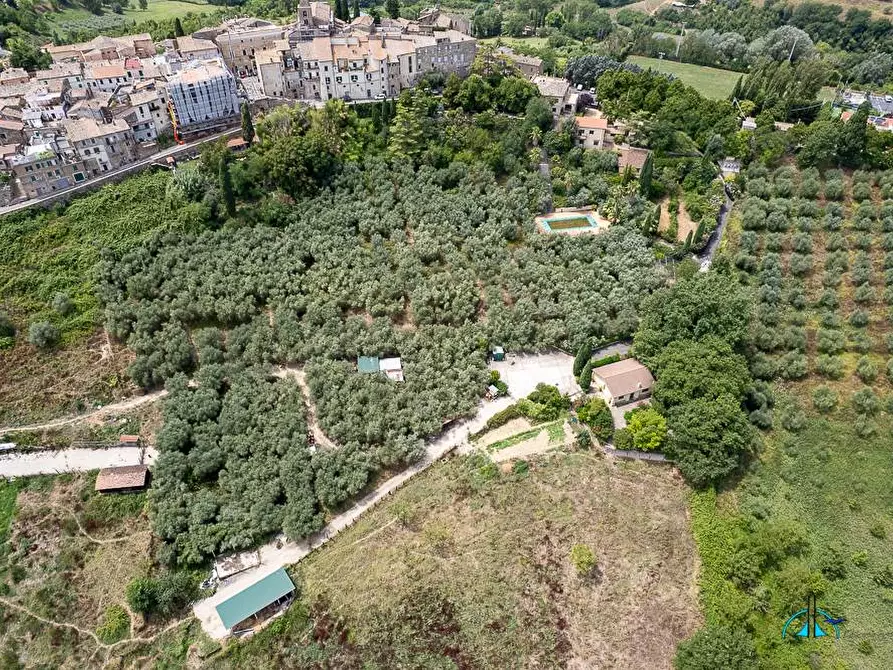 Immagine 137 di Villa in vendita  in Via dei cappuccini a Collevecchio