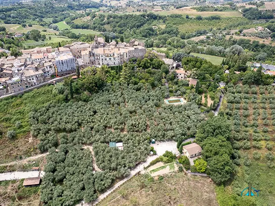 Immagine 138 di Villa in vendita  in Via dei cappuccini a Collevecchio