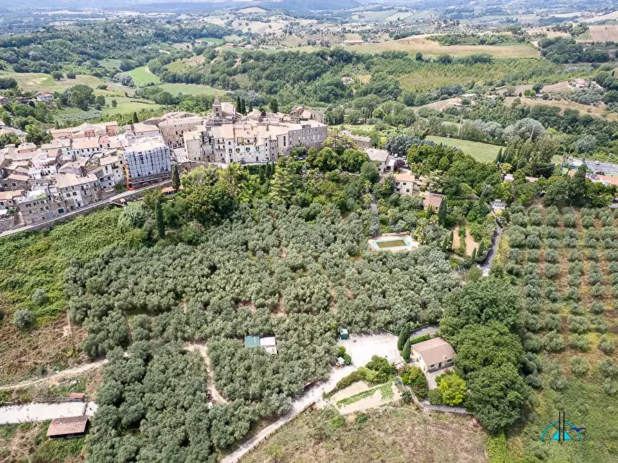 Immagine 139 di Villa in vendita  in Via dei cappuccini a Collevecchio