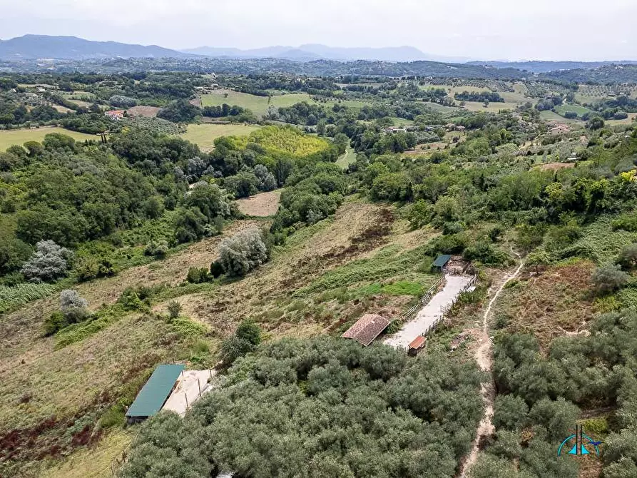 Immagine 144 di Villa in vendita  in Via dei cappuccini a Collevecchio