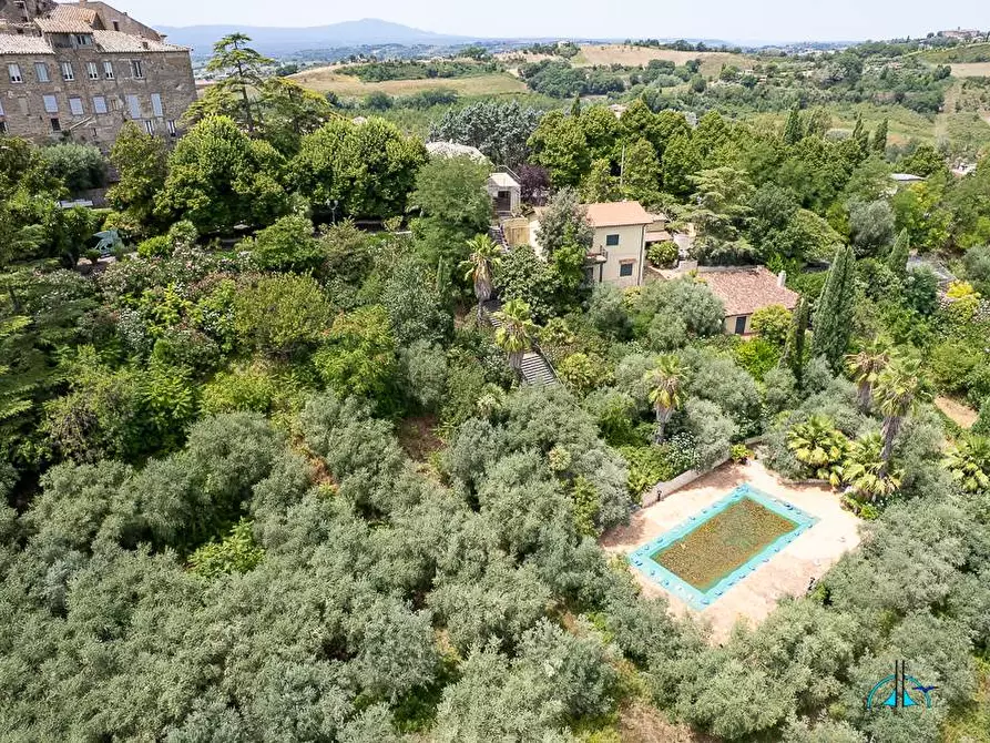 Immagine 146 di Villa in vendita  in Via dei cappuccini a Collevecchio