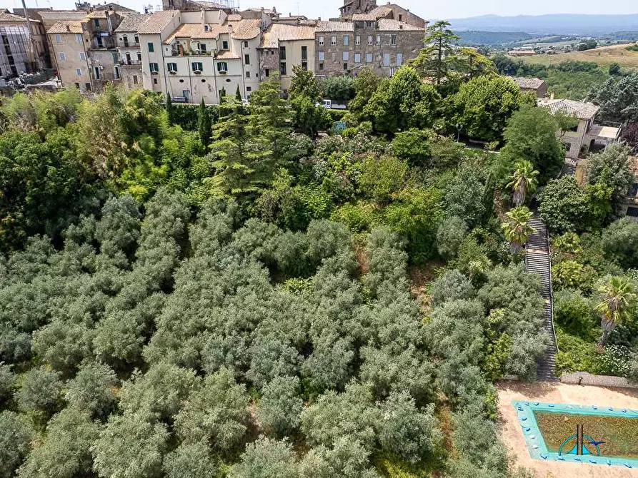 Immagine 147 di Villa in vendita  in Via dei cappuccini a Collevecchio