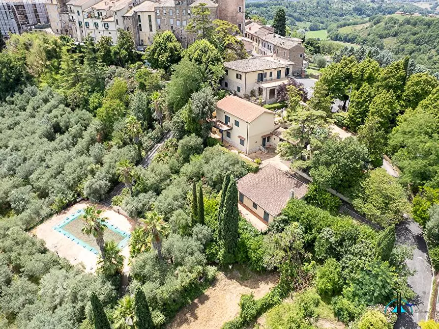 Immagine 9 di Villa in vendita  in Via dei cappuccini a Collevecchio