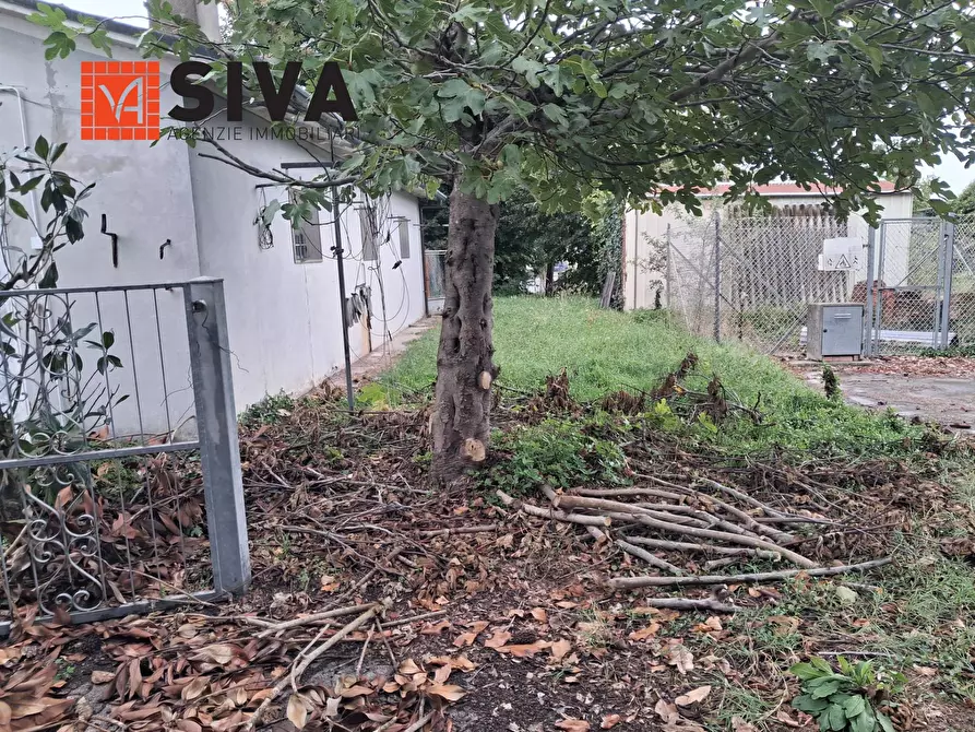 Immagine 6 di Casa indipendente in vendita  in Via Vecchia Traversara 12 a Bagnacavallo