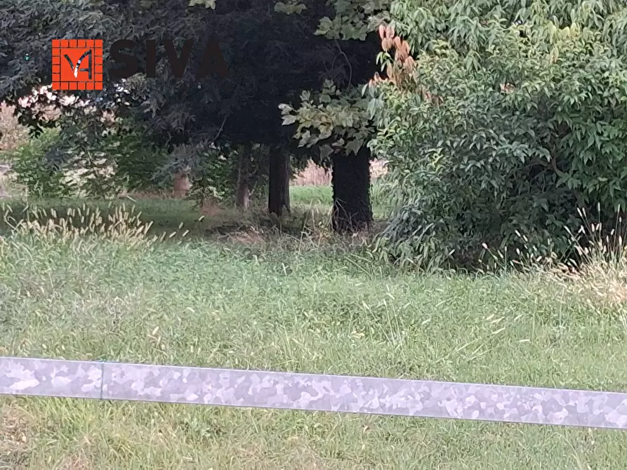 Immagine 11 di Casa indipendente in vendita  in Via Vecchia Traversara 12 a Bagnacavallo