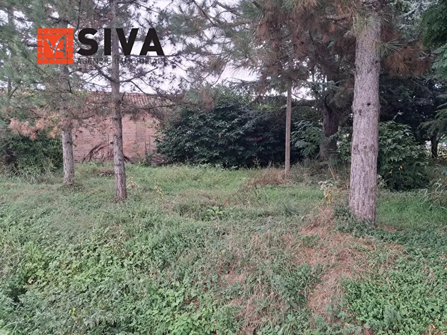 Immagine 13 di Casa indipendente in vendita  in Via Vecchia Traversara 12 a Bagnacavallo