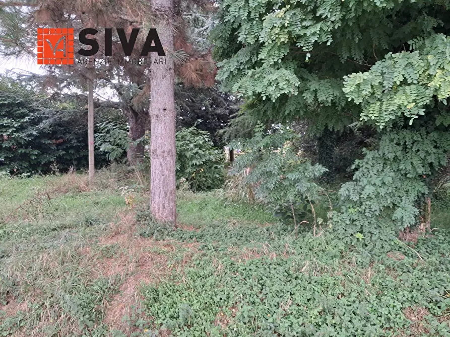 Immagine 14 di Casa indipendente in vendita  in Via Vecchia Traversara 12 a Bagnacavallo