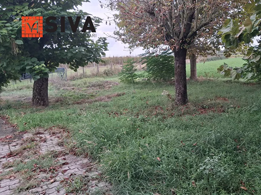 Immagine 15 di Casa indipendente in vendita  in Via Vecchia Traversara 12 a Bagnacavallo