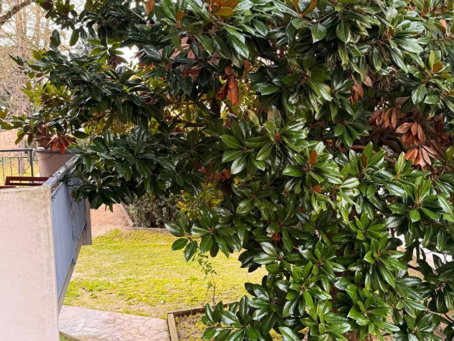 Immagine 10 di Appartamento in vendita  in via castagnevizza a Ravenna