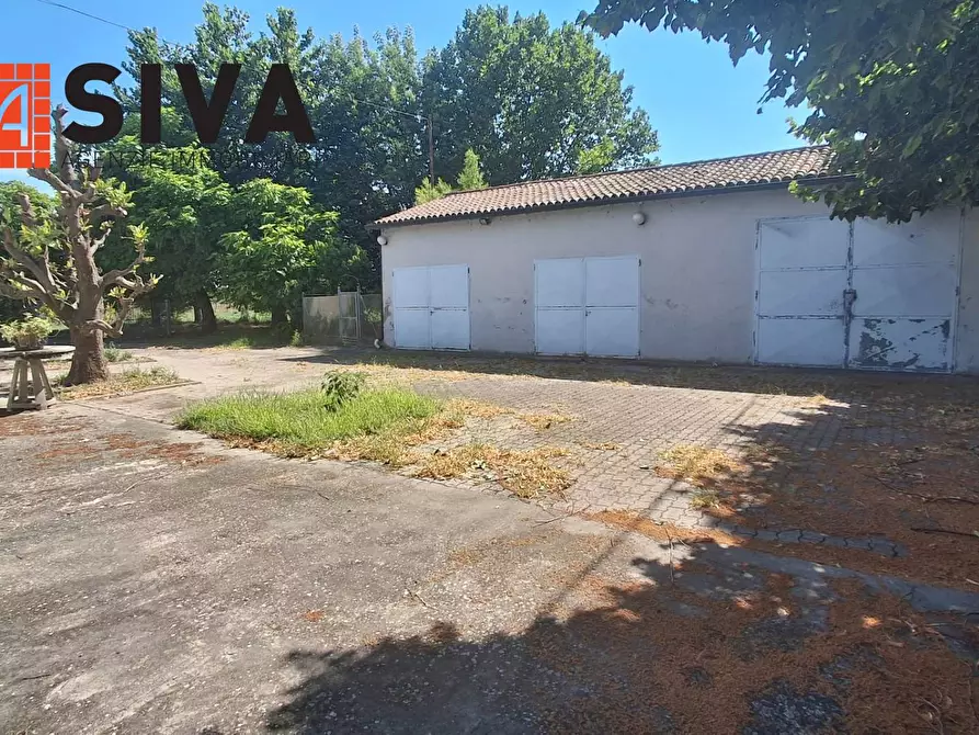 Immagine 26 di Casa indipendente in vendita  in Via Vecchia Traversara 12 a Bagnacavallo