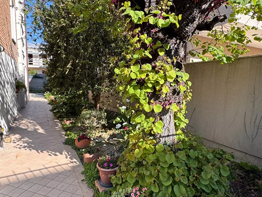 Immagine 3 di Villetta a schiera in vendita  in Via Monte San Marco a Ravenna