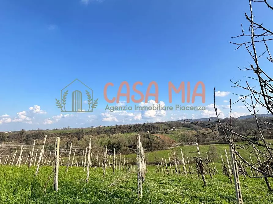 Immagine 7 di Villa in vendita  in Località travazzano a Carpaneto Piacentino