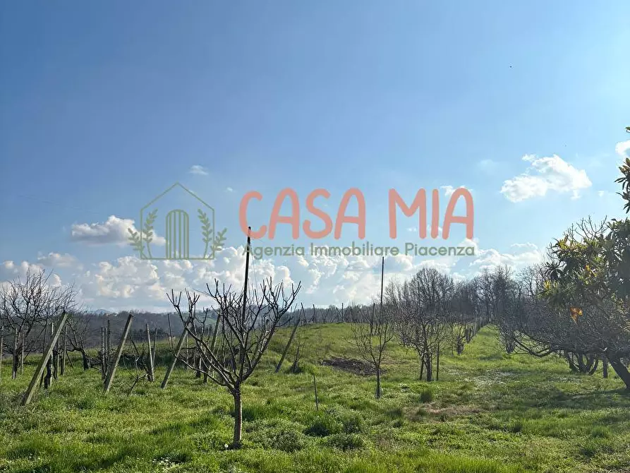 Immagine 11 di Villa in vendita  in Località travazzano a Carpaneto Piacentino