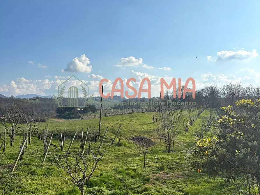 Immagine 29 di Villa in vendita  in Località travazzano a Carpaneto Piacentino