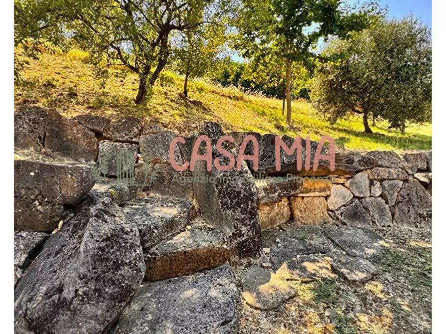 Immagine 5 di Rustico / casale in vendita  in Via del borgo a Agazzano