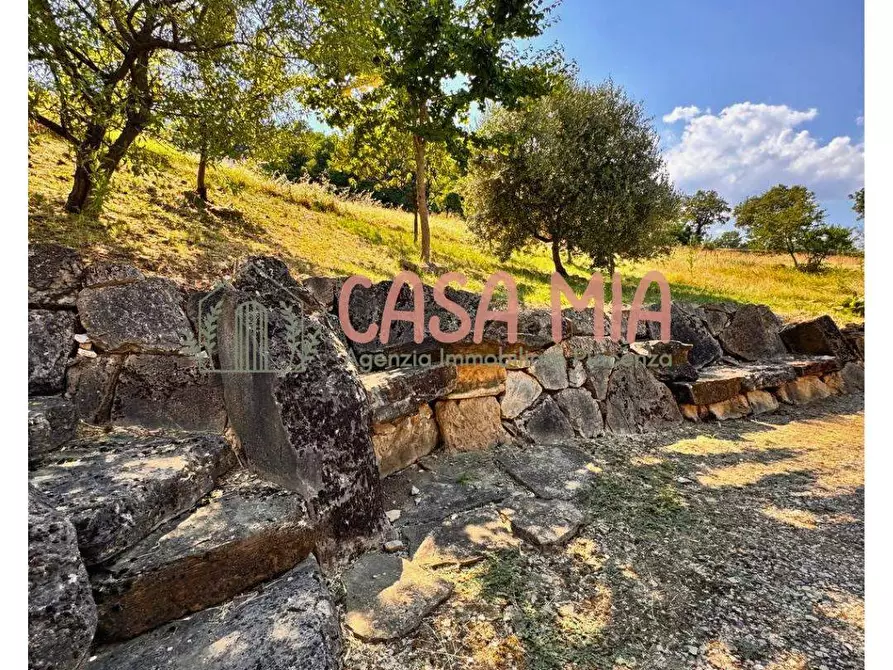 Immagine 6 di Rustico / casale in vendita  in Via del borgo a Agazzano