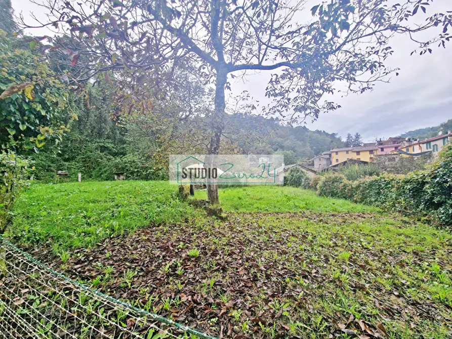 Immagine 58 di Rustico / casale in vendita  in Via vecchia provinciale 122 a Camaiore