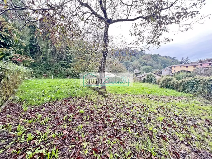 Immagine 59 di Rustico / casale in vendita  in Via vecchia provinciale 122 a Camaiore