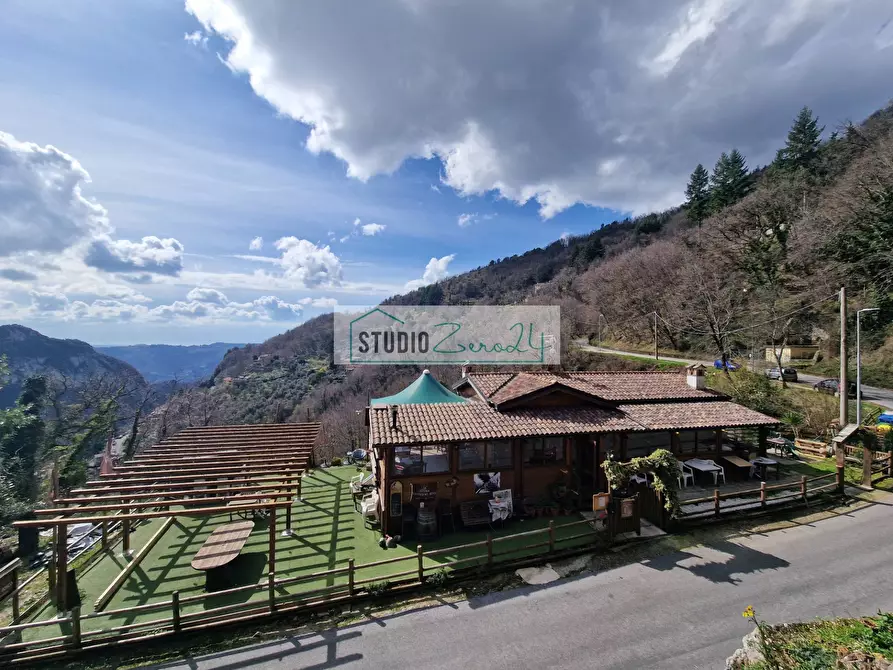 Immagine 7 di Locale commerciale in vendita  in Via Trescolli 1546 a Camaiore