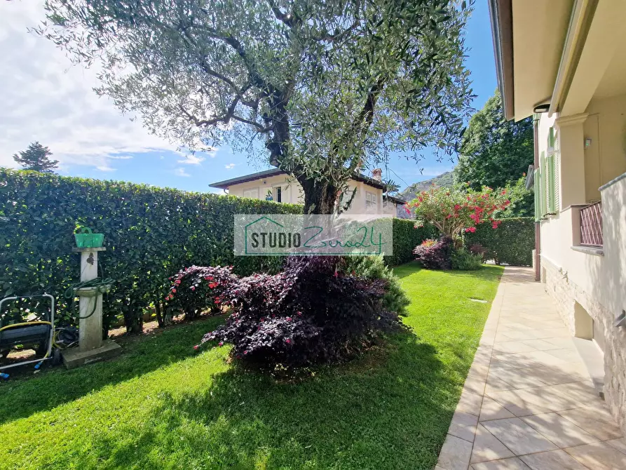 Immagine 8 di Villa in vendita  in via nuova a Camaiore