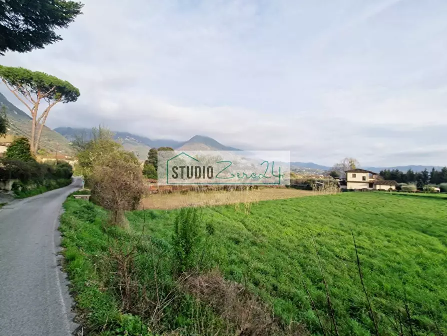 Immagine 2 di Terreno agricolo in vendita  in via della serra a Camaiore