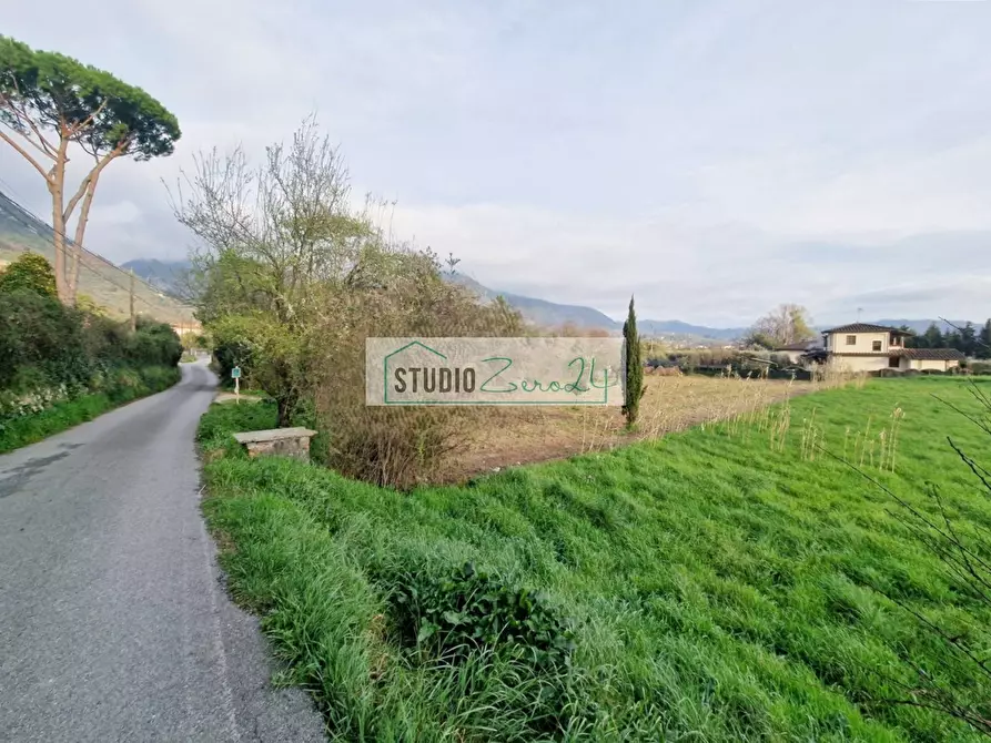 Immagine 3 di Terreno agricolo in vendita  in via della serra a Camaiore