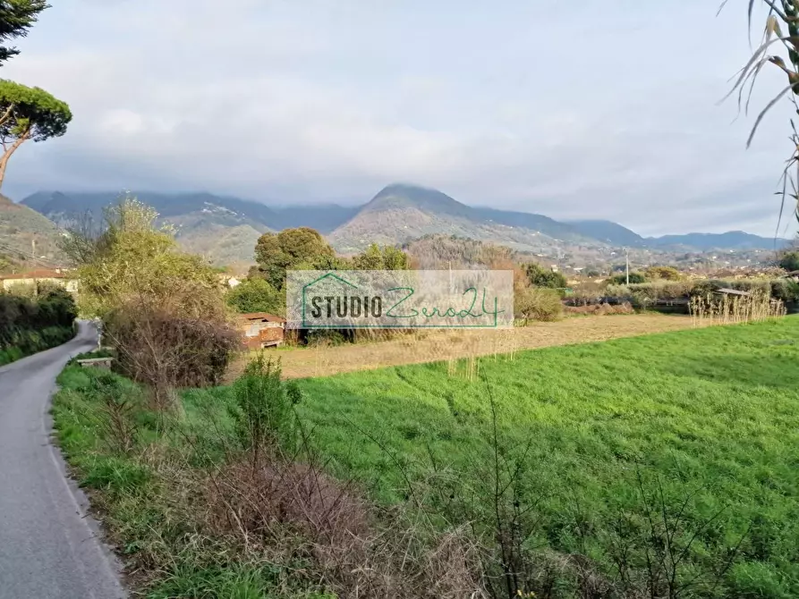 Immagine 4 di Terreno agricolo in vendita  in via della serra a Camaiore