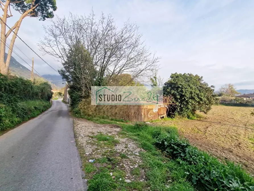Immagine 5 di Terreno agricolo in vendita  in via della serra a Camaiore